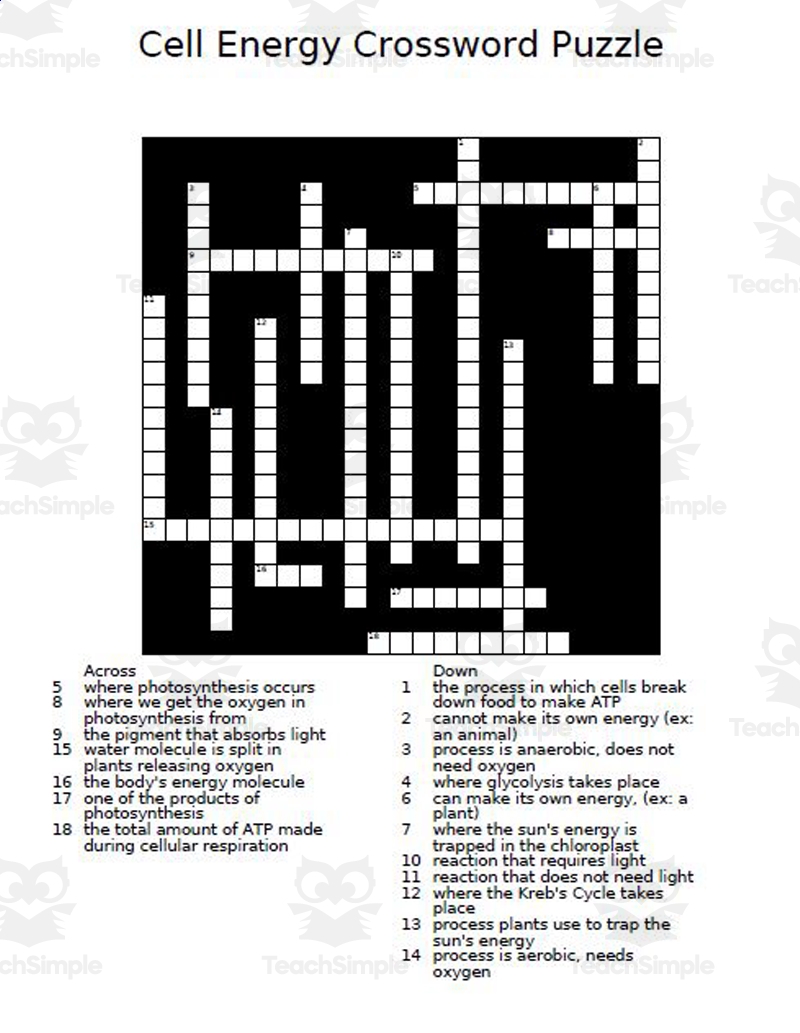 Cell Structure And Function Crossword Puzzle