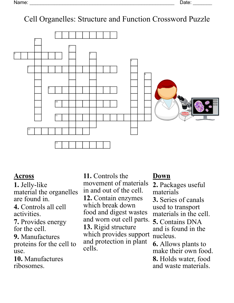 Cell Organelles Structure And Function Crossword Puzzle WordMint Cell Organelles Structure And Function Crossword Puzzle WordMint
