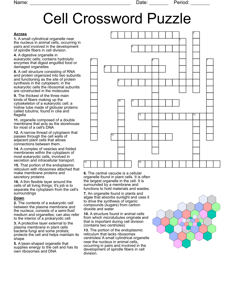 Cell Structure And Function Crossword Puzzle Answer Key Cell Structure And Function Crossword Puzzle Answer Key