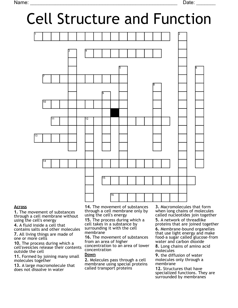 Cell Structure And Function Crossword WordMint Cell Structure And Function Crossword WordMint