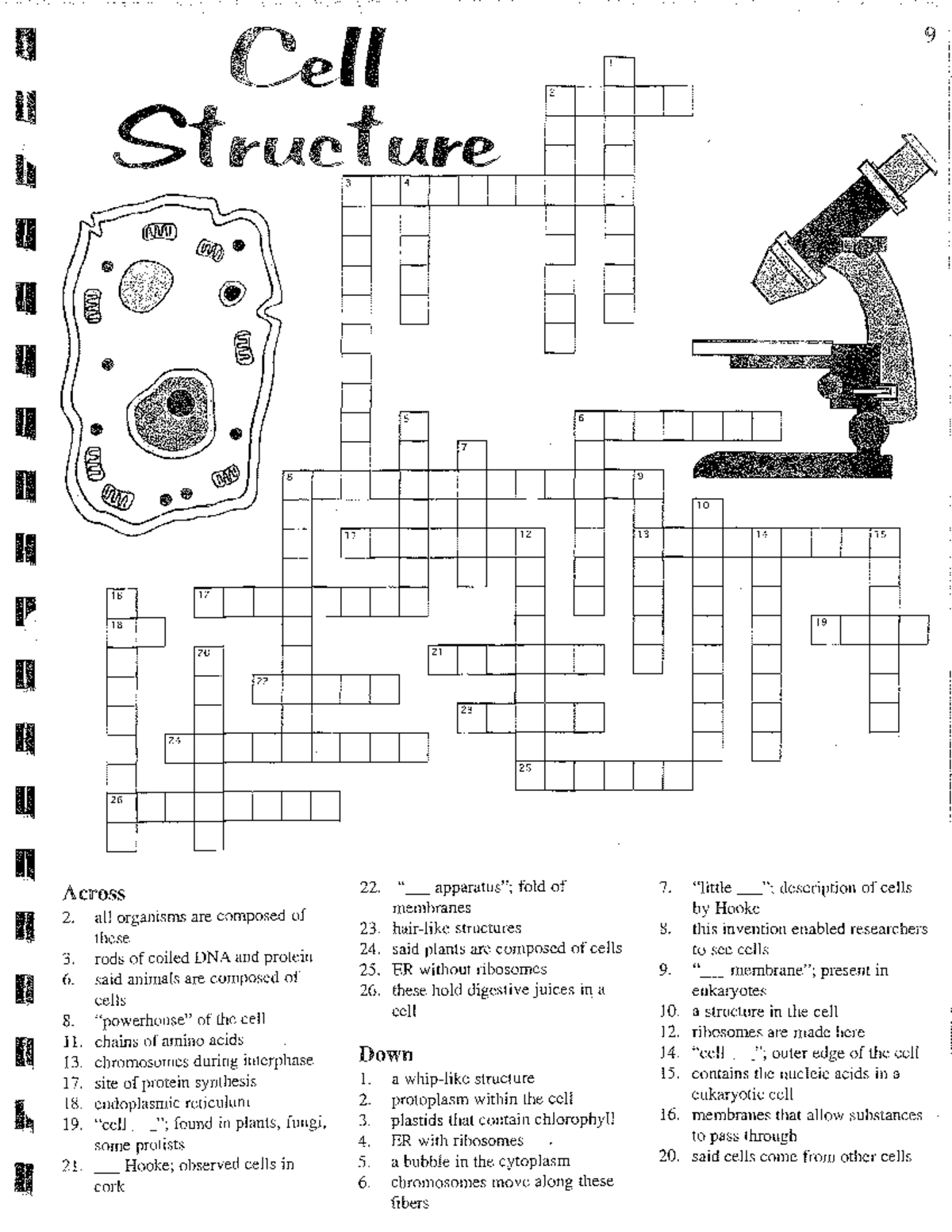 Cell Structure Crossword Puzzle Studocu Cell Structure Crossword Puzzle Studocu