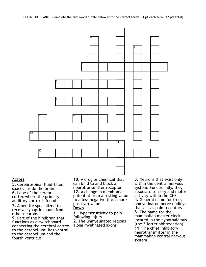 Fill In Crossword Puzzle Fill In Crossword Puzzle