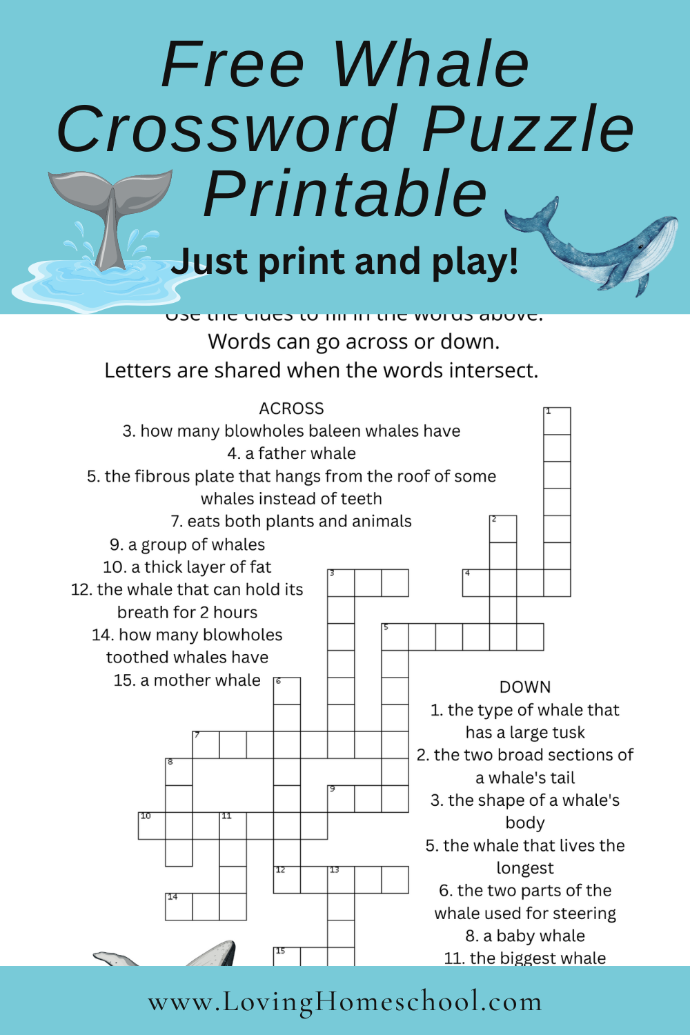 Jumbo Crossword Puzzle Printable Free Jumbo Crossword Puzzle Printable Free