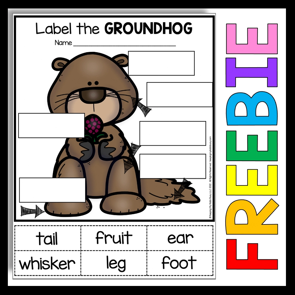 Groundhog Day Worksheets Free Printable