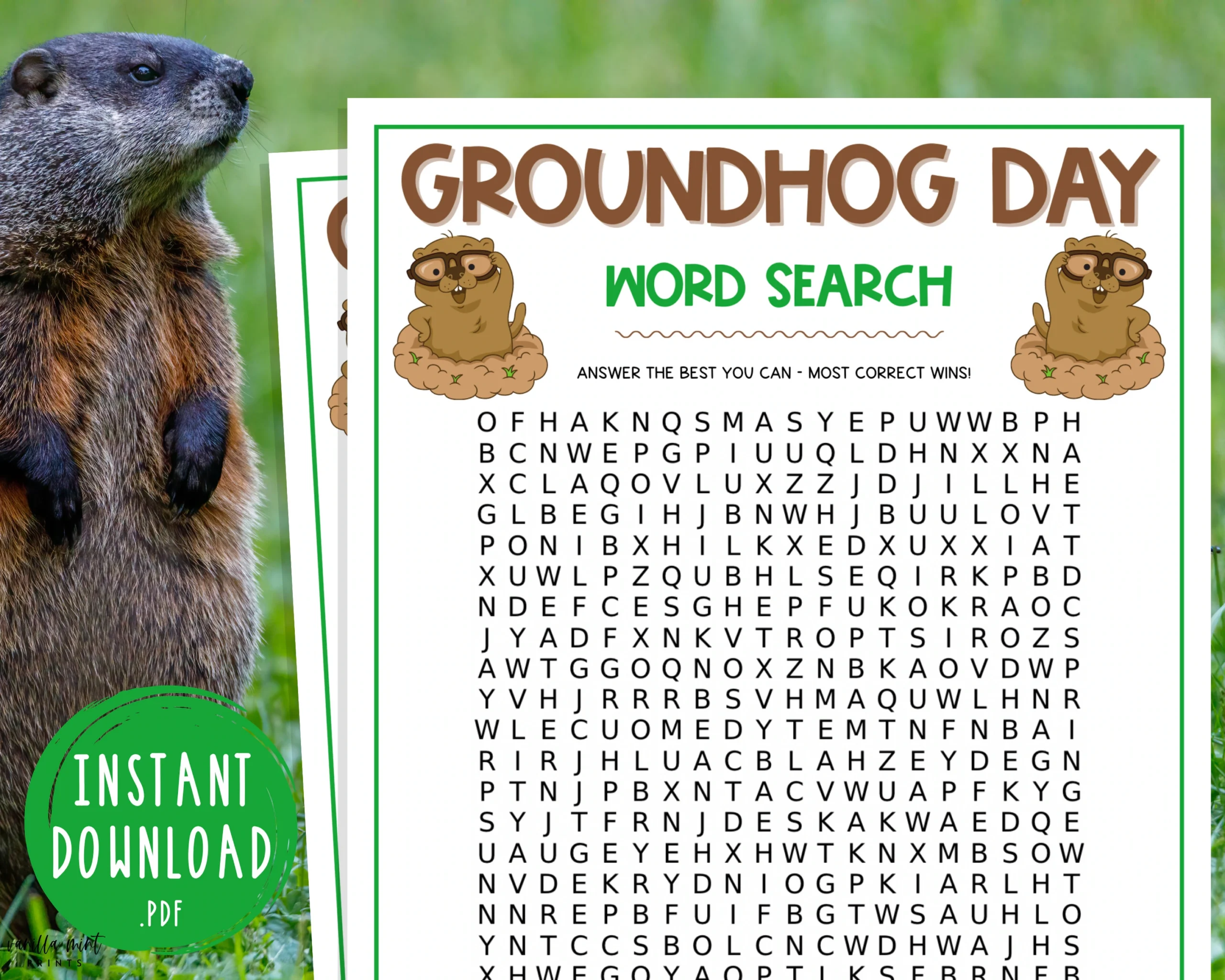 Groundhog Day Word Search Printable Groundhog Day Word Search Printable
