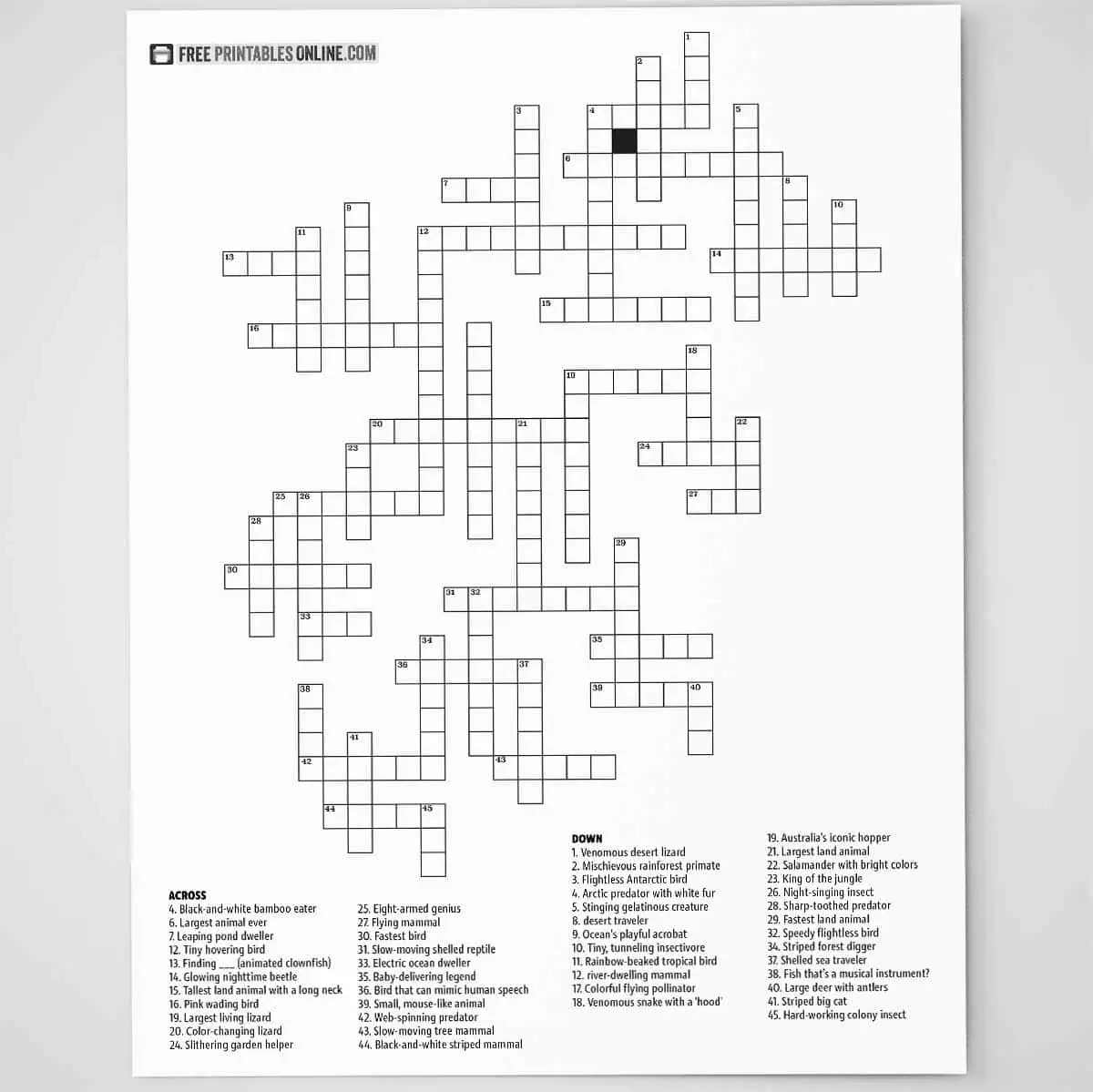 Kids Crossword Puzzles Printable