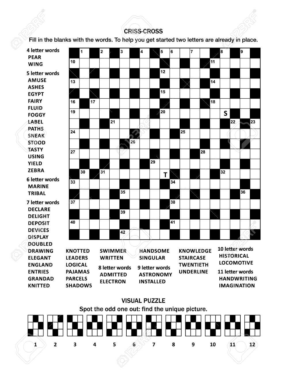 Puzzle Page With 19x19 Criss cross fill in Crossword Word Game 
