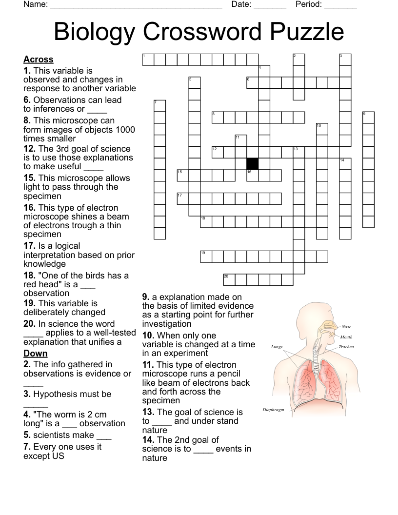 Printable Crossword Puzzles Science Printable Crossword Puzzles Science